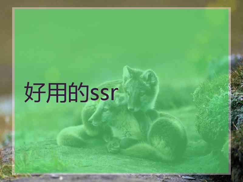 好用的ssr