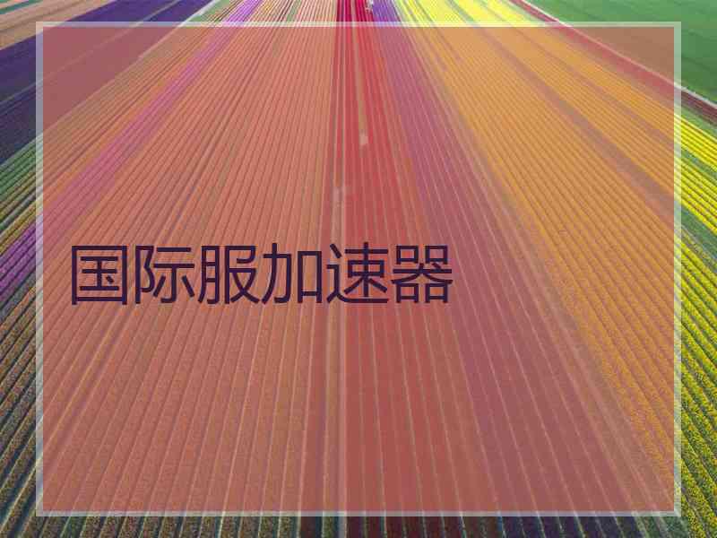 国际服加速器
