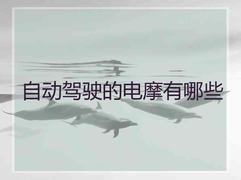 自动驾驶的电摩有哪些