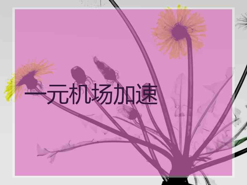 一元机场加速