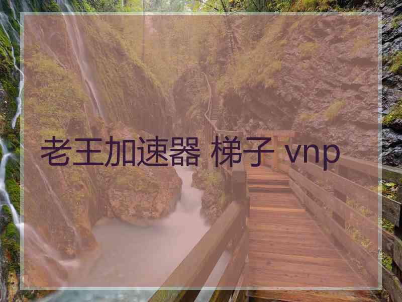老王加速器 梯子 vnp