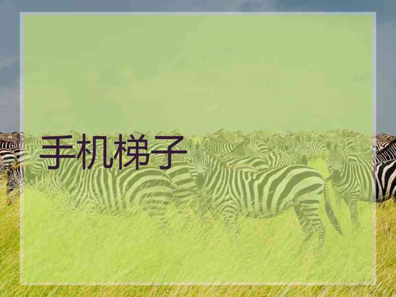 手机梯子