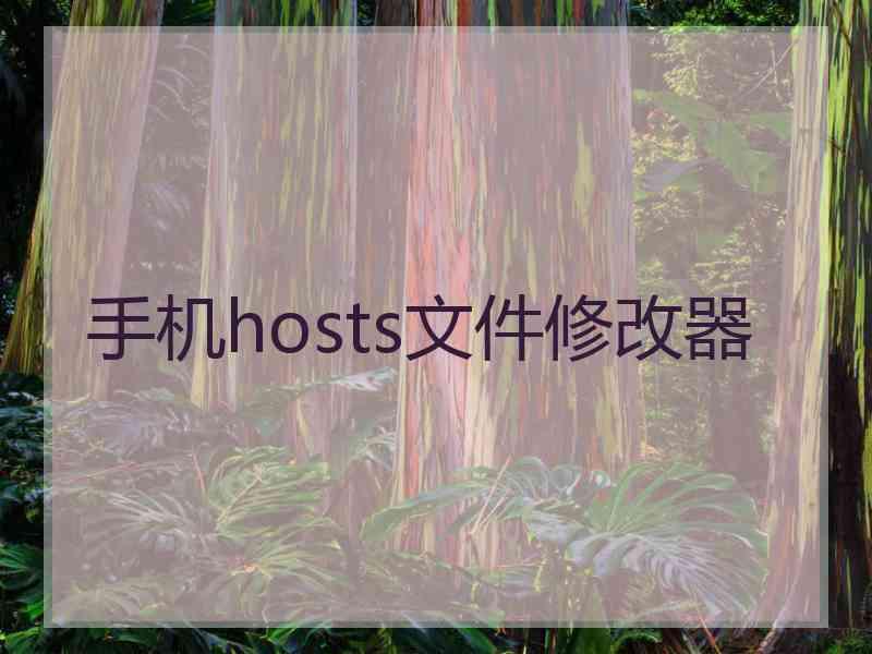 手机hosts文件修改器