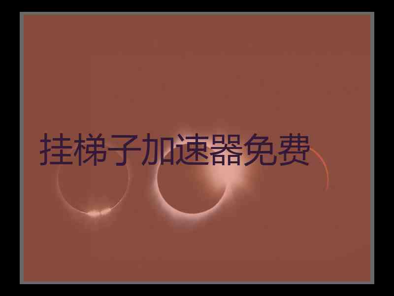 挂梯子加速器免费