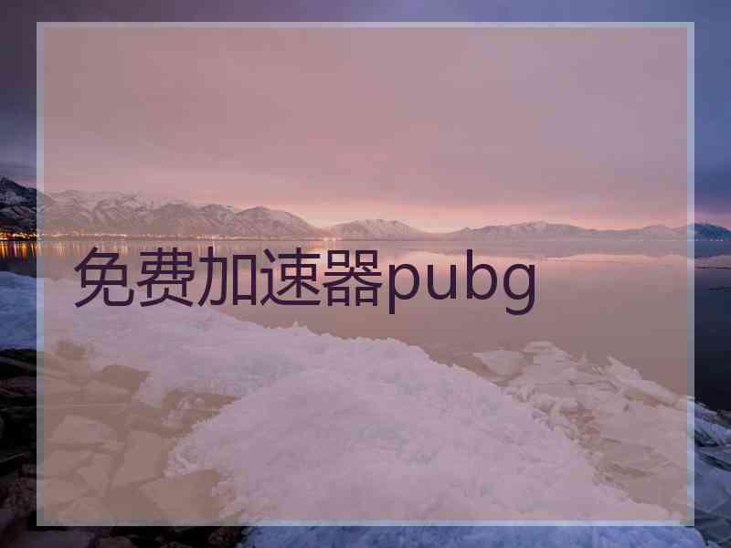 免费加速器pubg