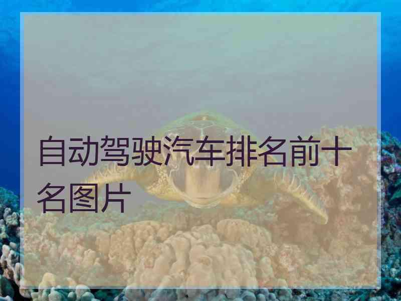 自动驾驶汽车排名前十名图片