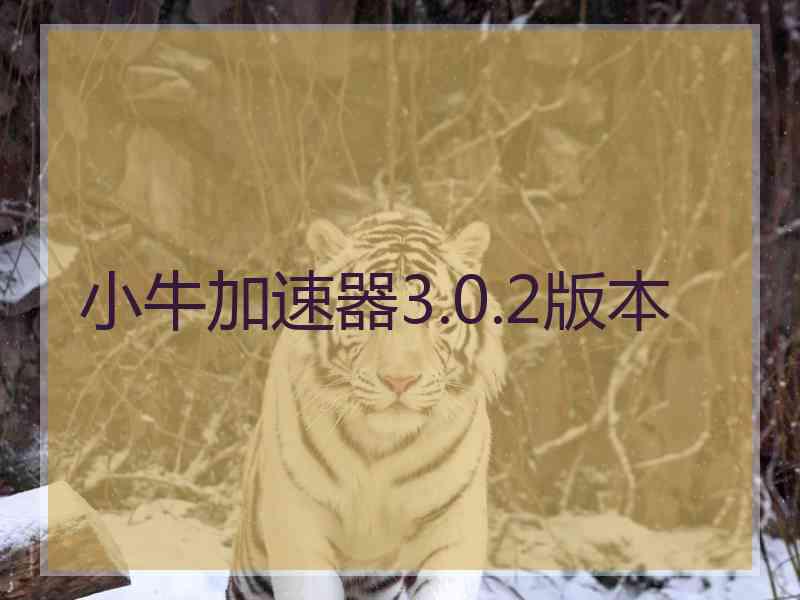 小牛加速器3.0.2版本