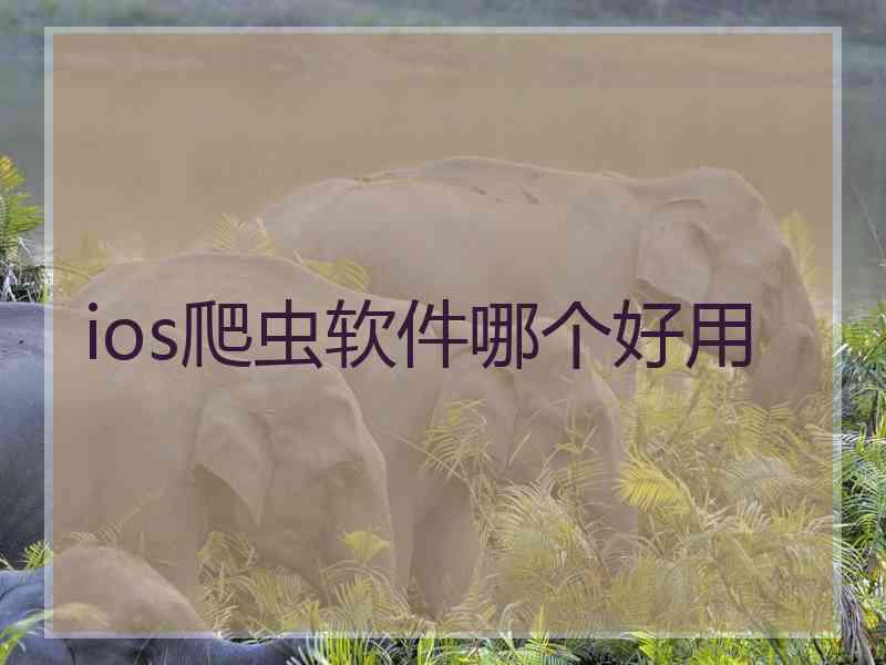 ios爬虫软件哪个好用