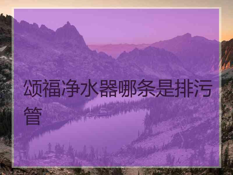 颂福净水器哪条是排污管