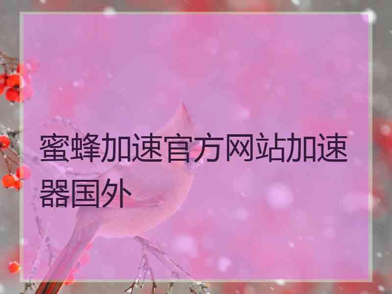 蜜蜂加速官方网站加速器国外