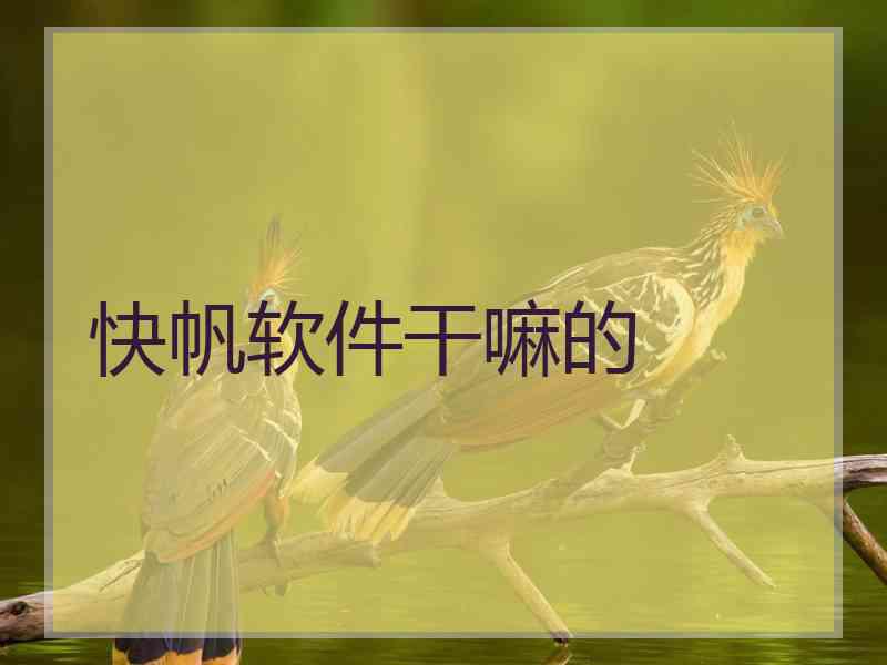 快帆软件干嘛的
