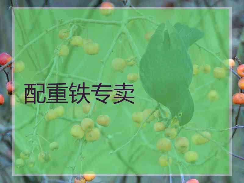 配重铁专卖