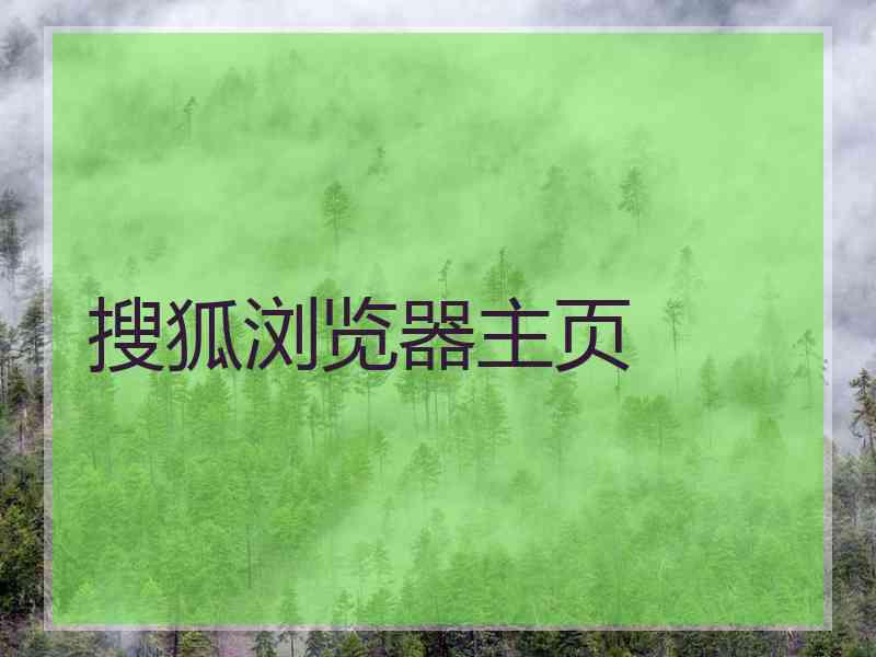 搜狐浏览器主页