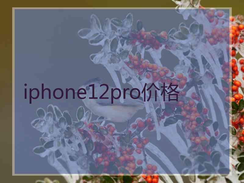 iphone12pro价格