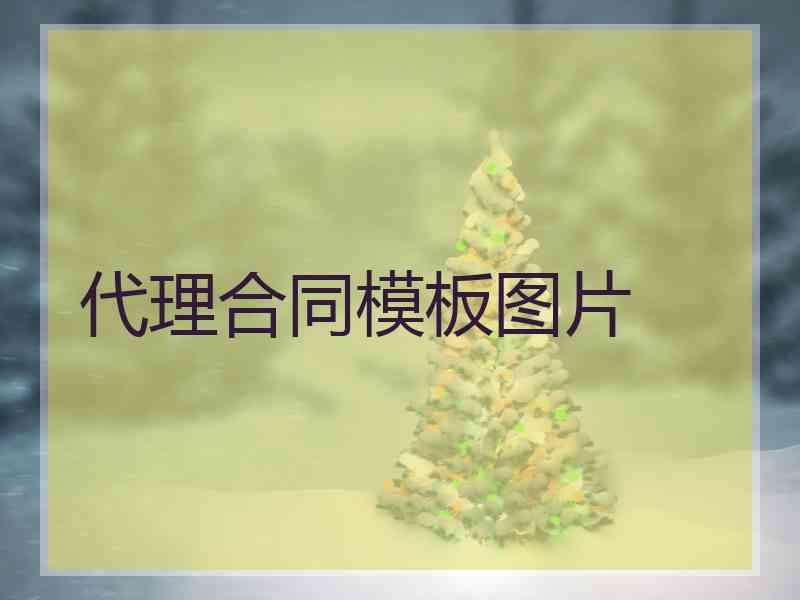 代理合同模板图片