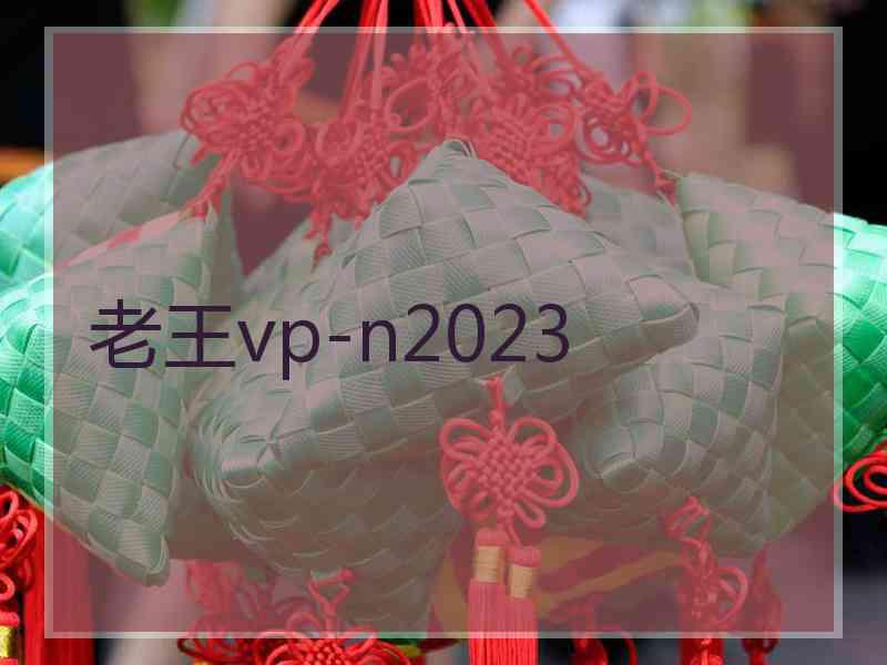 老王vp-n2023