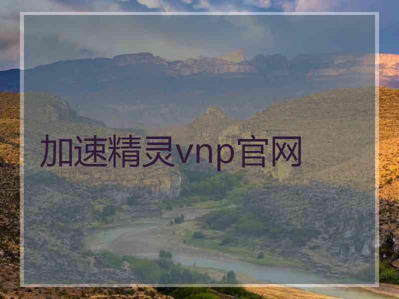 加速精灵vnp官网