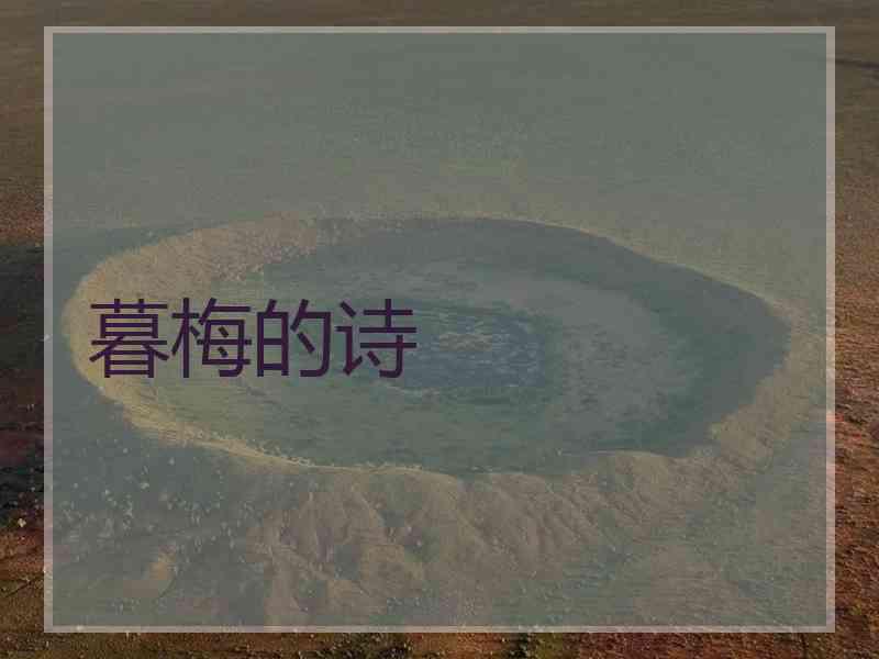 暮梅的诗