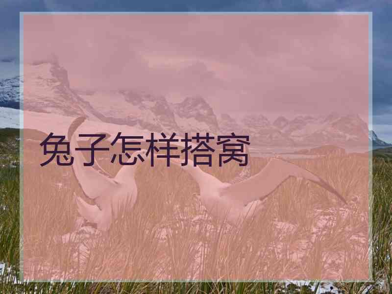 兔子怎样搭窝