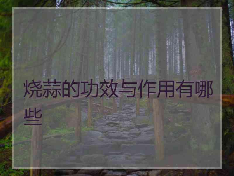 烧蒜的功效与作用有哪些