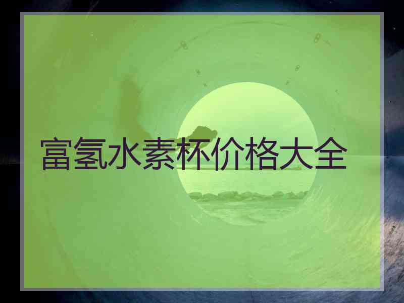 富氢水素杯价格大全