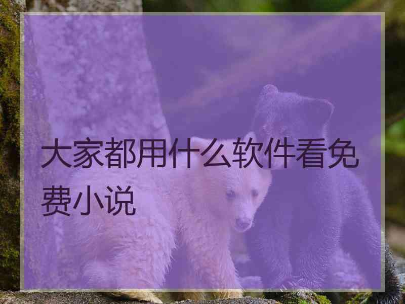 大家都用什么软件看免费小说