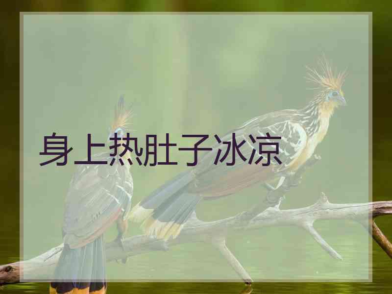 身上热肚子冰凉
