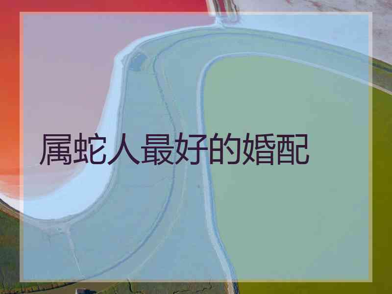 属蛇人最好的婚配