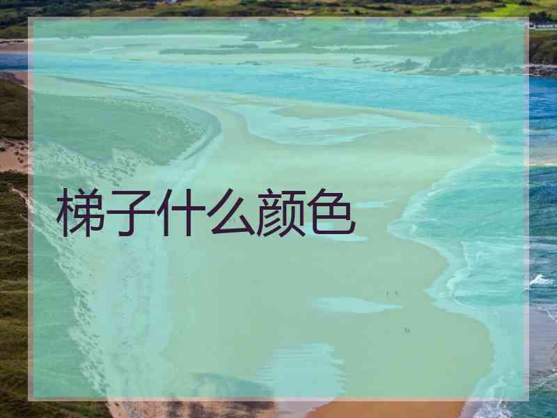 梯子什么颜色