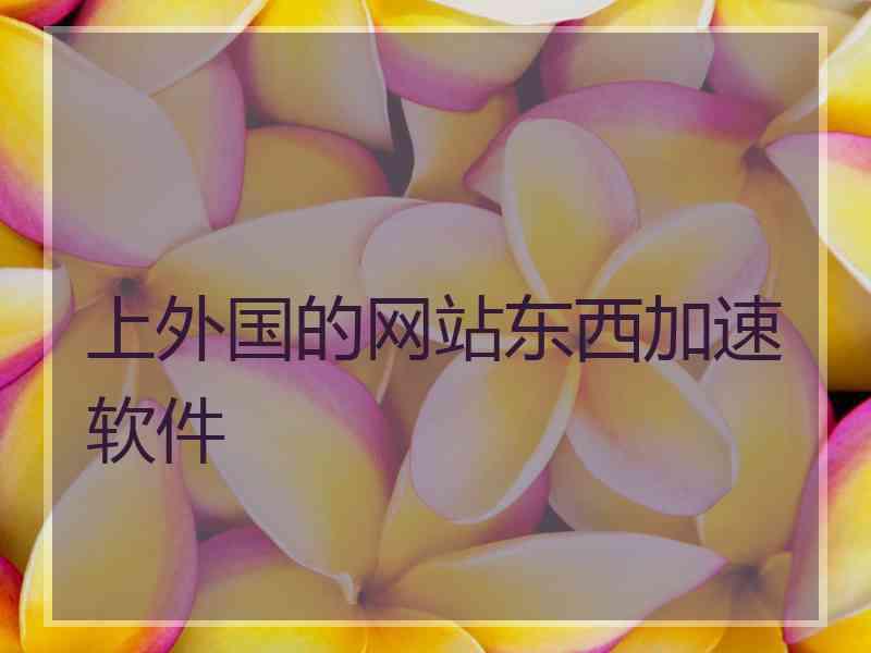 上外国的网站东西加速软件