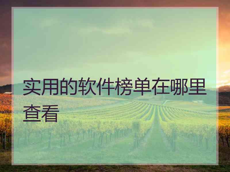 实用的软件榜单在哪里查看