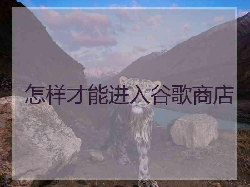 怎样才能进入谷歌商店