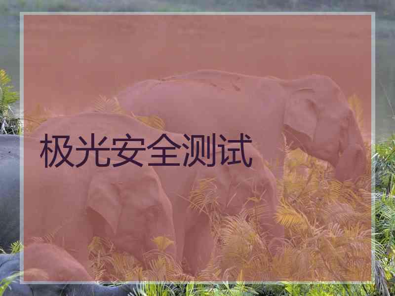 极光安全测试