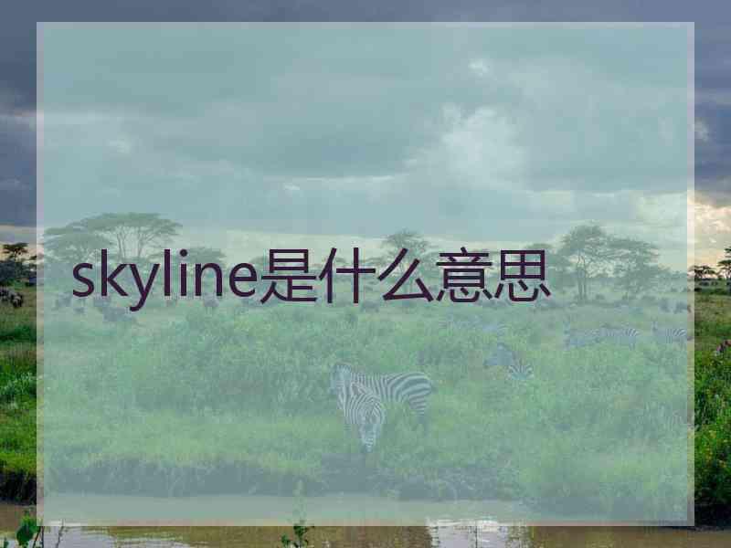 skyline是什么意思
