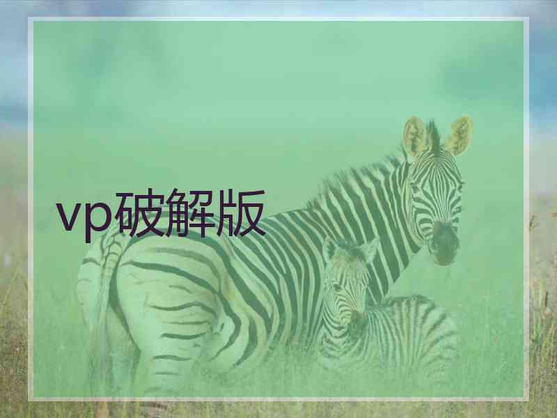 vp破解版