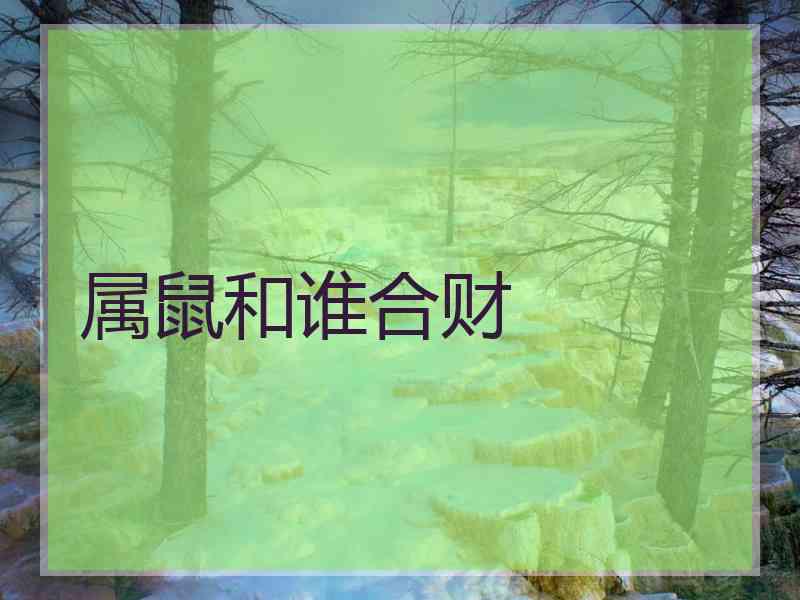 属鼠和谁合财
