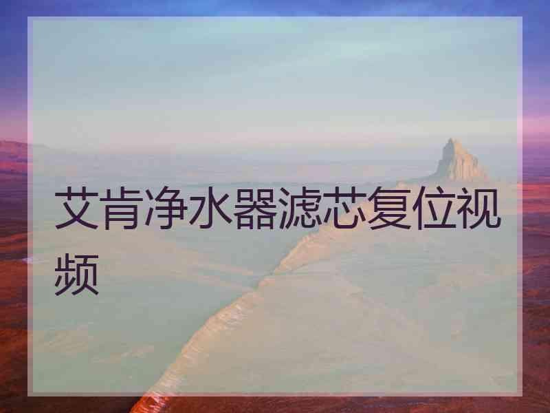 艾肯净水器滤芯复位视频