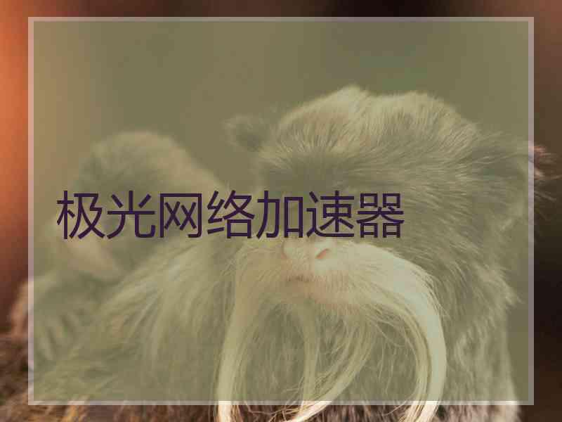 极光网络加速器