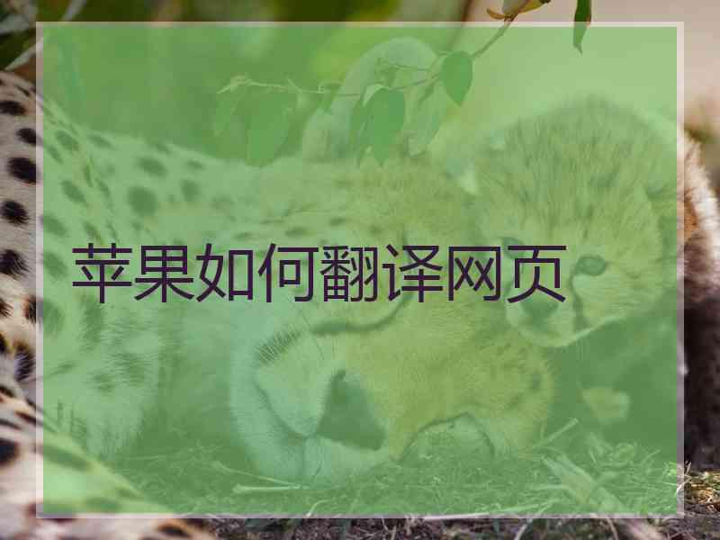 苹果如何翻译网页
