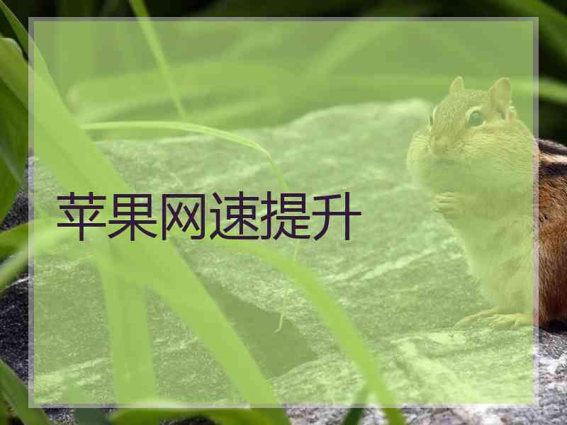 苹果网速提升