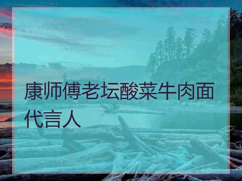 康师傅老坛酸菜牛肉面代言人