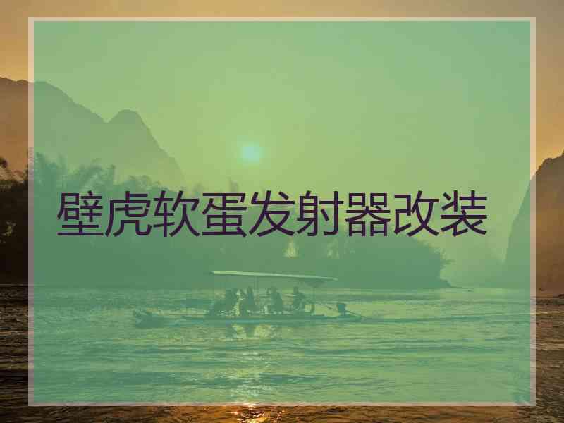 壁虎软蛋发射器改装