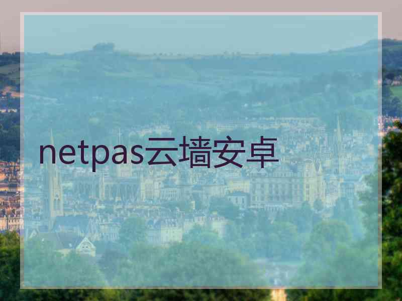 netpas云墙安卓