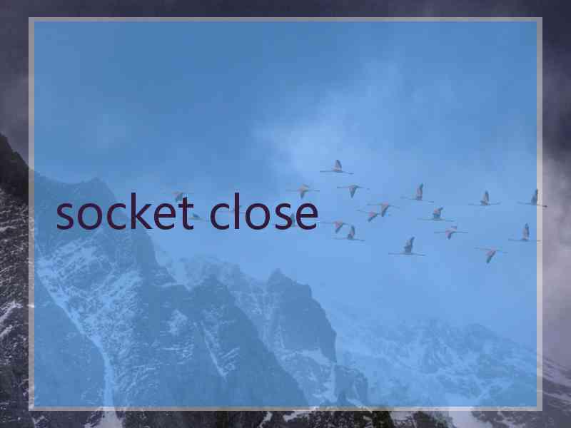 socket close