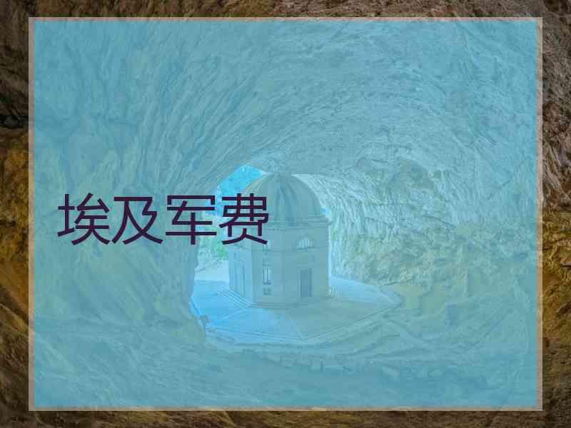 埃及军费