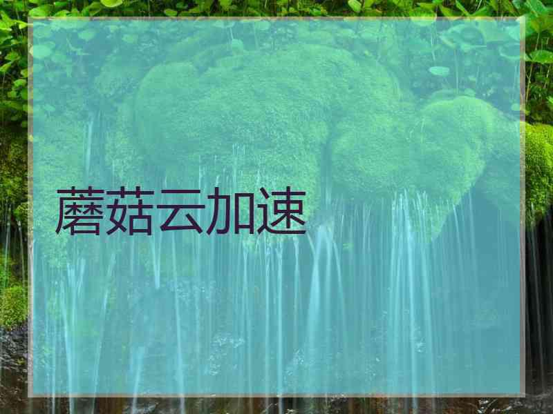 蘑菇云加速