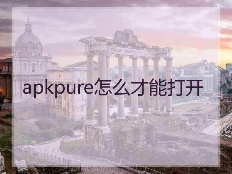 apkpure怎么才能打开
