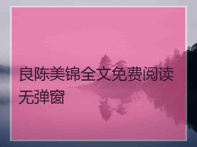 良陈美锦全文免费阅读无弹窗