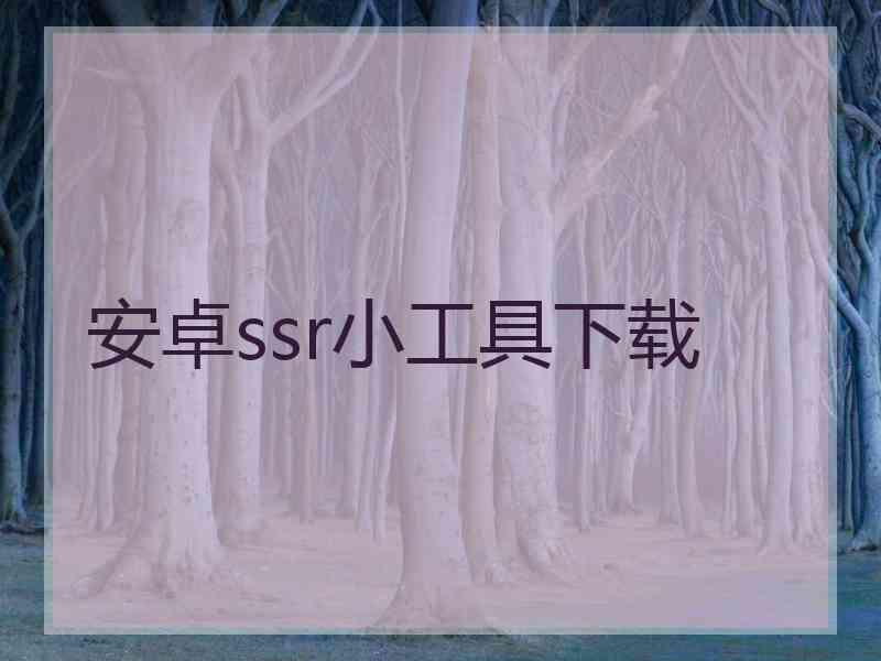 安卓ssr小工具下载