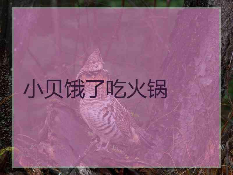 小贝饿了吃火锅